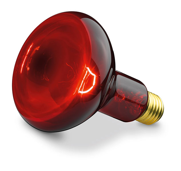 100 watt Spare Bulb For Infrared Lamp
