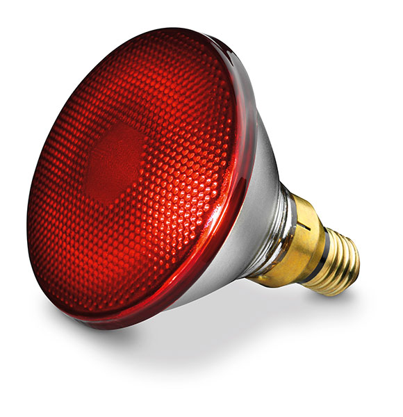 150 watt Spare Bulb For Infrared Lamp