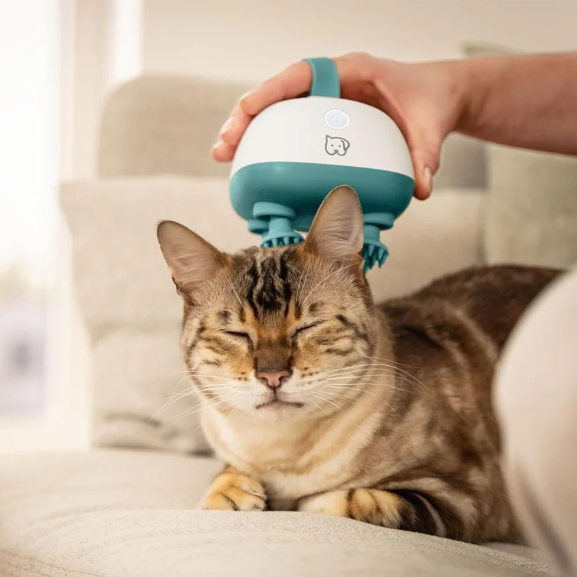 Massager Buddy