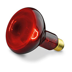 100 watt Spare Bulb For Infrared lamp